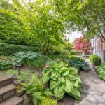 NWMLS-256